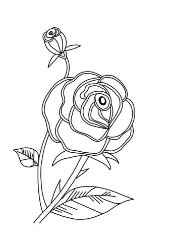 róża kolorowanka