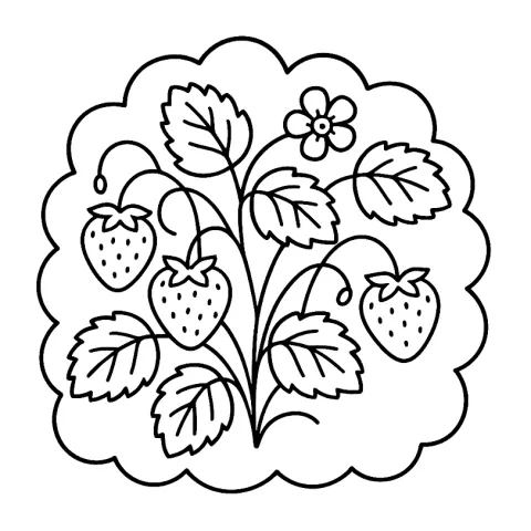 krzak truskawek kolorowanka