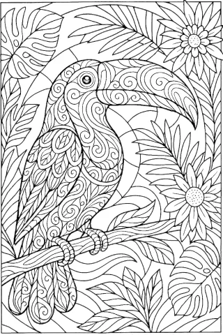 tukan kolorowanka dla dorosłych