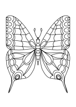 motyl Paź królowej kolorowanka