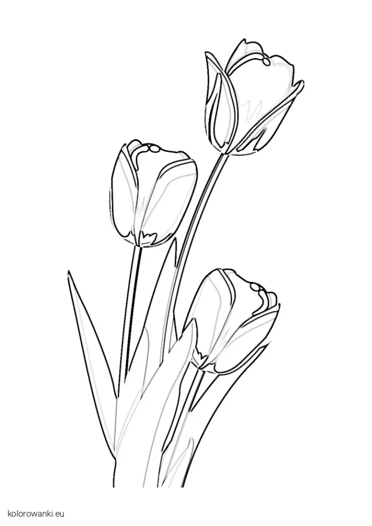 tulipany kolorowanka